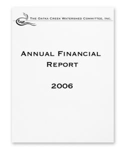 FinancialCover2006